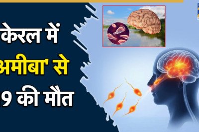 दिमाग खाने वाले कीड़े से सावधान, जानें कितना है घातक और कैसे करें बचाव? 5 पॉइंट में सबकुछ